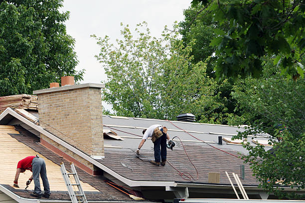 Best Gutter Installation and Roofing  in Mount Sterling, OH